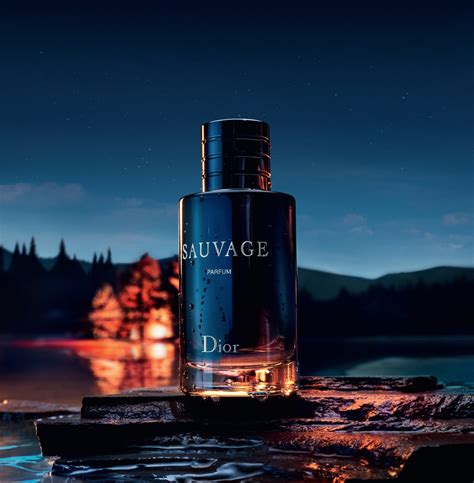 sauvage da dior|sauvage Dior fragrantica.